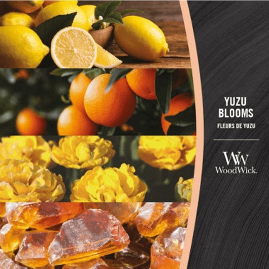 Bougie Ellipse Fleurs de Yuzu - Sensaura
