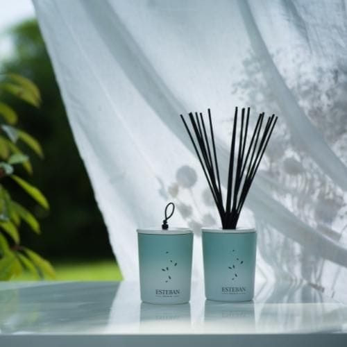 Bouquet Décoratif Parfumé - Pur Lin - Sensaura