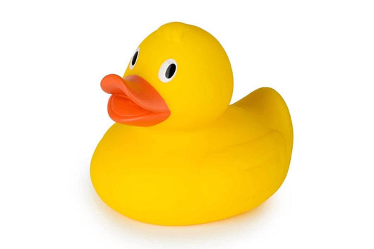 Grand canard Jaune - Sensaura
